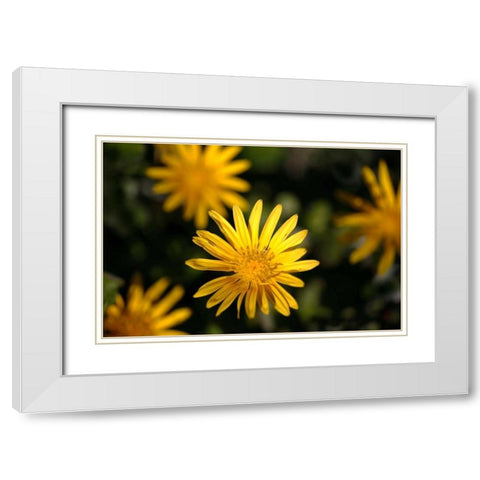Celebration I White Modern Wood Framed Art Print with Double Matting by Crane, Rita