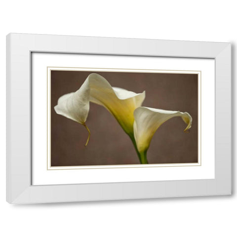 Calla Elegance I White Modern Wood Framed Art Print with Double Matting by Crane, Rita