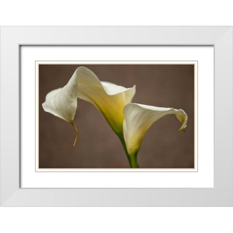 Calla Elegance I White Modern Wood Framed Art Print with Double Matting by Crane, Rita