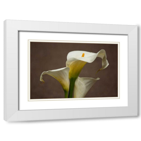 Calla Elegance II White Modern Wood Framed Art Print with Double Matting by Crane, Rita