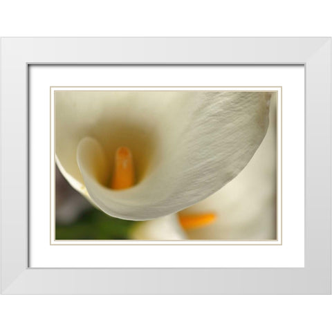 Calla Lilies II White Modern Wood Framed Art Print with Double Matting by Crane, Rita