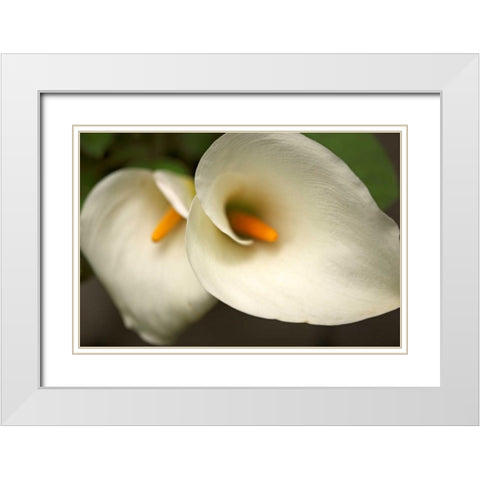 Calla Lilies III White Modern Wood Framed Art Print with Double Matting by Crane, Rita