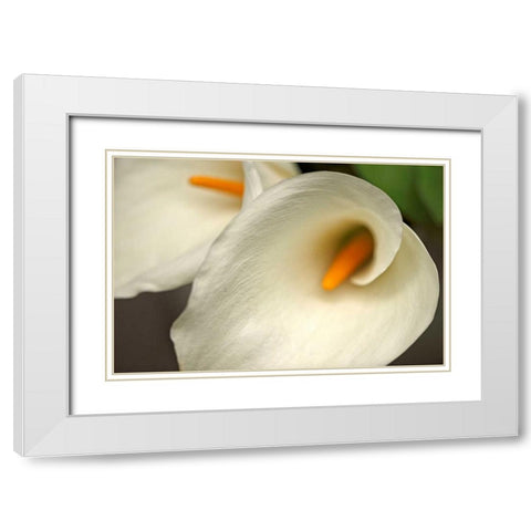 Calla Lilies IV White Modern Wood Framed Art Print with Double Matting by Crane, Rita