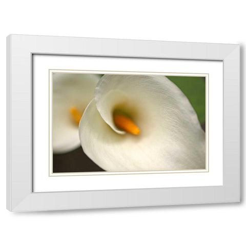 Calla Lilies VI White Modern Wood Framed Art Print with Double Matting by Crane, Rita
