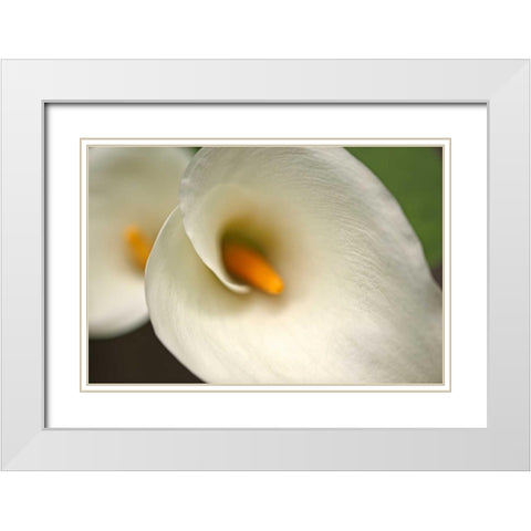 Calla Lilies VI White Modern Wood Framed Art Print with Double Matting by Crane, Rita