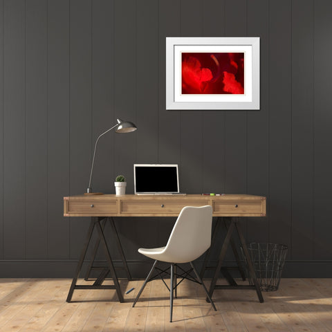 Crimson Petals I White Modern Wood Framed Art Print with Double Matting by Crane, Rita