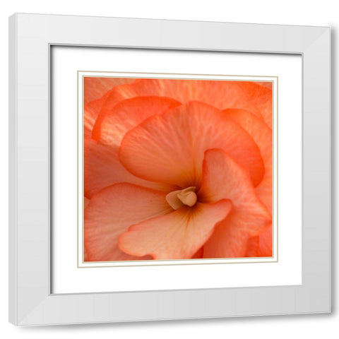 Orange Ruffles IV White Modern Wood Framed Art Print with Double Matting by Crane, Rita