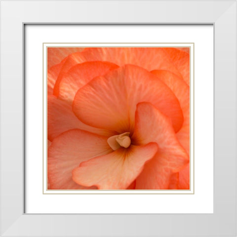 Orange Ruffles IV White Modern Wood Framed Art Print with Double Matting by Crane, Rita