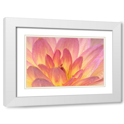 China Doll Dahlia I White Modern Wood Framed Art Print with Double Matting by Crane, Rita