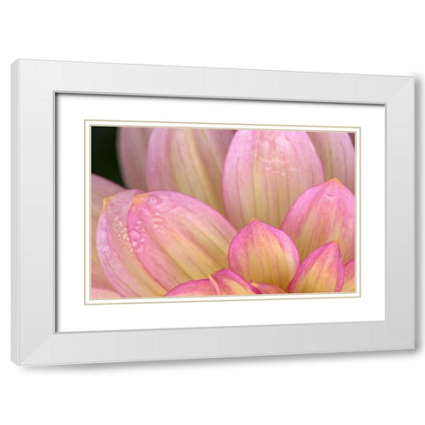 China Doll Petals I White Modern Wood Framed Art Print with Double Matting by Crane, Rita