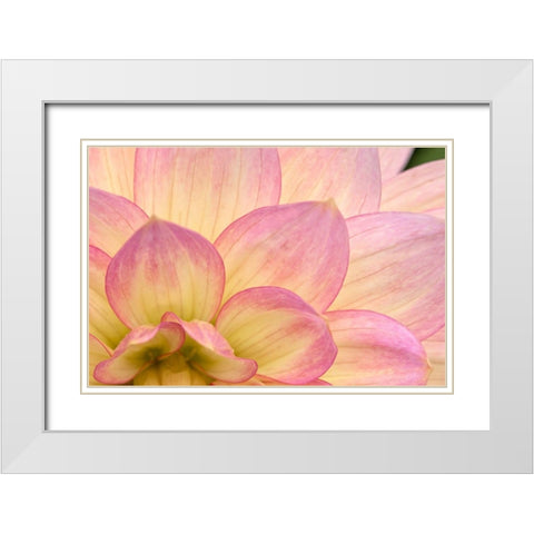 China Doll Petals II White Modern Wood Framed Art Print with Double Matting by Crane, Rita