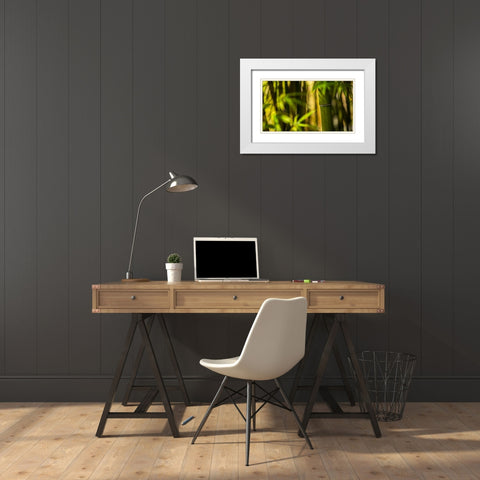 Bamboo Afternoon II White Modern Wood Framed Art Print with Double Matting by Crane, Rita
