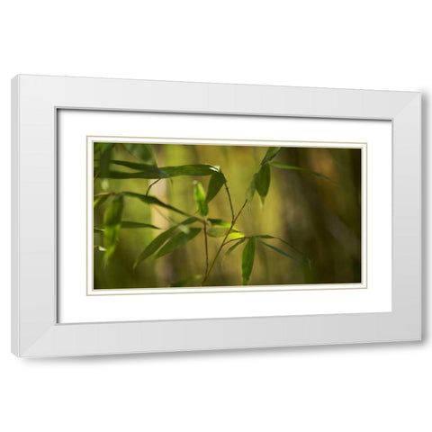 Bamboo Afternoon XI White Modern Wood Framed Art Print with Double Matting by Crane, Rita
