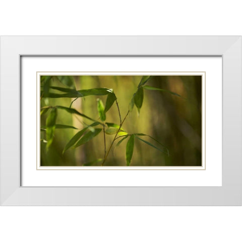 Bamboo Afternoon XI White Modern Wood Framed Art Print with Double Matting by Crane, Rita