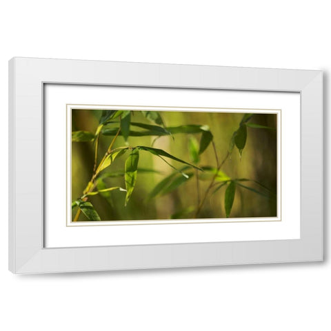 Bamboo Afternoon XII White Modern Wood Framed Art Print with Double Matting by Crane, Rita