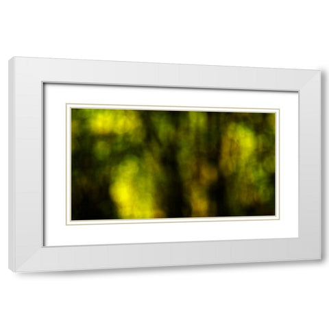 Dream Forest I White Modern Wood Framed Art Print with Double Matting by Crane, Rita