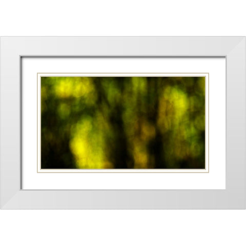 Dream Forest I White Modern Wood Framed Art Print with Double Matting by Crane, Rita