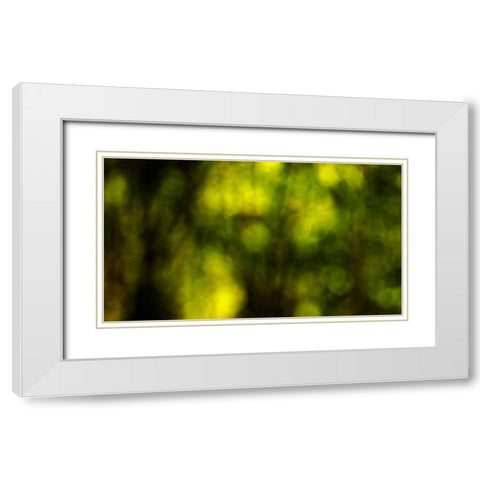 Dream Forest II White Modern Wood Framed Art Print with Double Matting by Crane, Rita