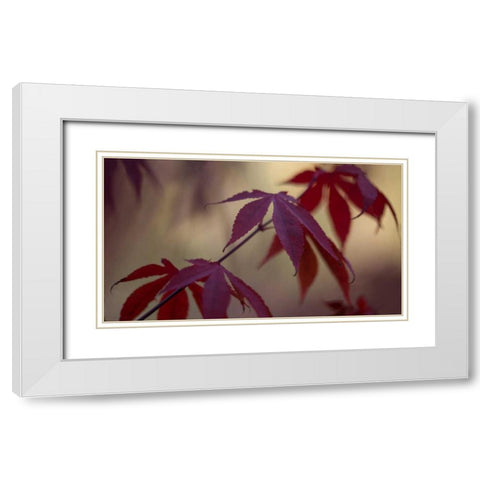 Burgundy Maple II White Modern Wood Framed Art Print with Double Matting by Crane, Rita