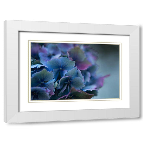 Autumn Hydrangea III White Modern Wood Framed Art Print with Double Matting by Crane, Rita