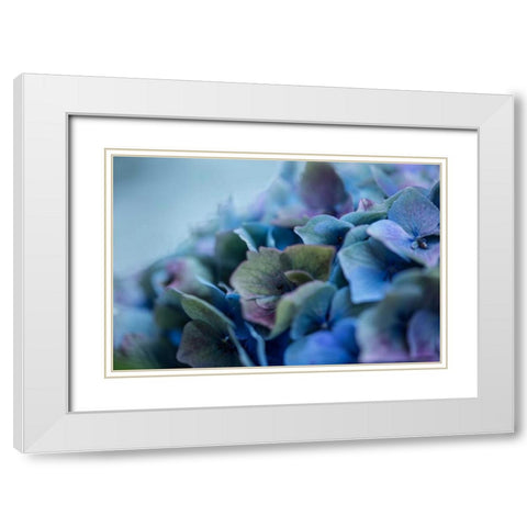 Autumn Hydrangea IV White Modern Wood Framed Art Print with Double Matting by Crane, Rita