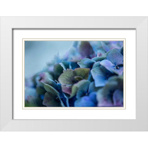 Autumn Hydrangea IV White Modern Wood Framed Art Print with Double Matting by Crane, Rita