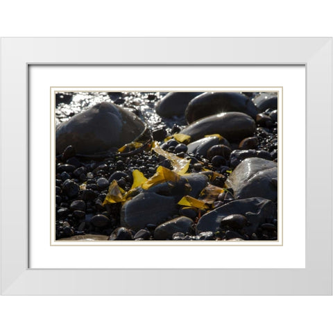 Rocky Shore I White Modern Wood Framed Art Print with Double Matting by Crane, Rita