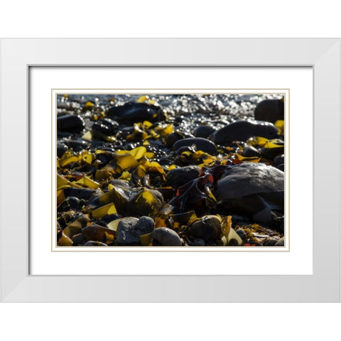 Rocky Shore II White Modern Wood Framed Art Print with Double Matting by Crane, Rita