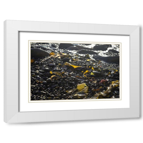 Rocky Shore III White Modern Wood Framed Art Print with Double Matting by Crane, Rita
