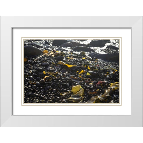 Rocky Shore III White Modern Wood Framed Art Print with Double Matting by Crane, Rita