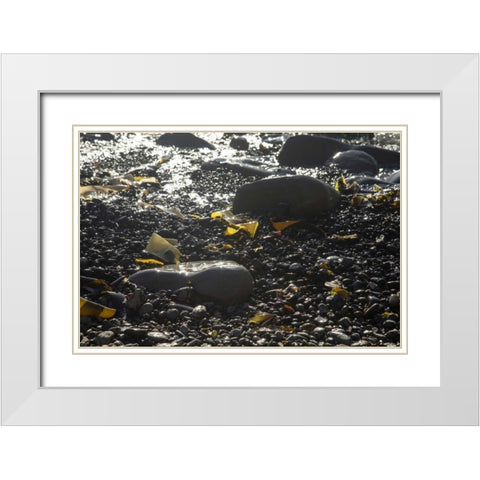 Rocky Shore IV White Modern Wood Framed Art Print with Double Matting by Crane, Rita