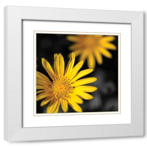 Celebration III White Modern Wood Framed Art Print with Double Matting by Crane, Rita