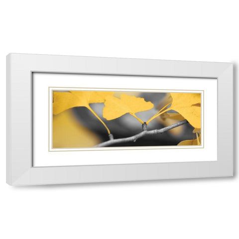 Yellow Gingko I White Modern Wood Framed Art Print with Double Matting by Crane, Rita