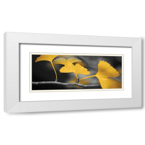 Yellow Gingko II White Modern Wood Framed Art Print with Double Matting by Crane, Rita