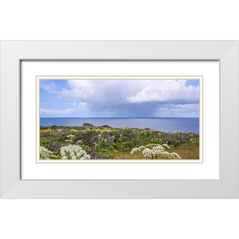 Coastal Wildflowers I White Modern Wood Framed Art Print with Double Matting by Crane, Rita