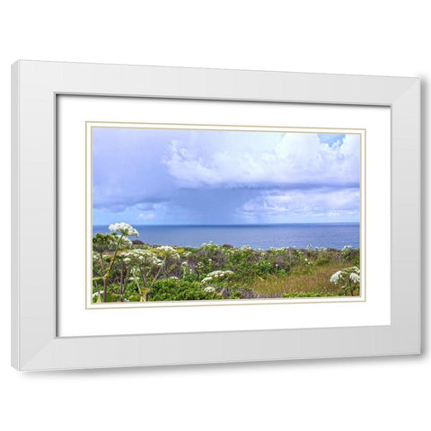 Spring Morning II White Modern Wood Framed Art Print with Double Matting by Crane, Rita