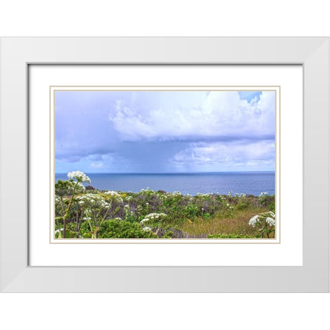 Spring Morning II White Modern Wood Framed Art Print with Double Matting by Crane, Rita