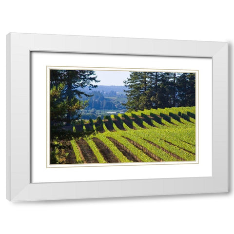 Sunlit Vineyard I White Modern Wood Framed Art Print with Double Matting by Crane, Rita