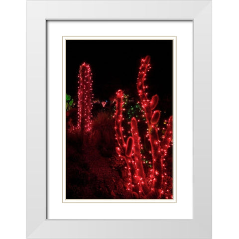 Holiday Cactus I White Modern Wood Framed Art Print with Double Matting by Crane, Rita