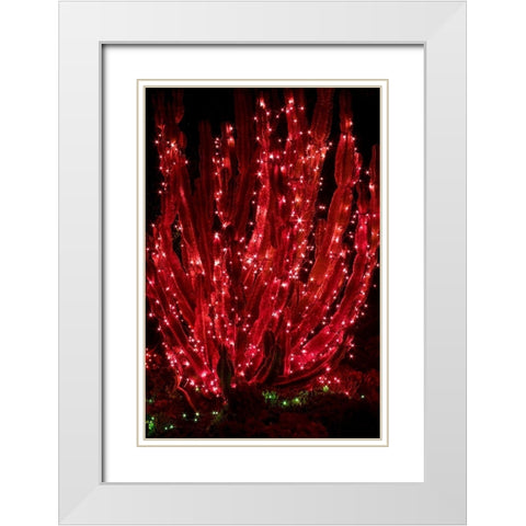 Holiday Cactus II White Modern Wood Framed Art Print with Double Matting by Crane, Rita