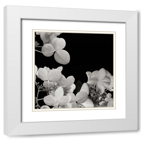 Flower Cluster 1 White Modern Wood Framed Art Print with Double Matting by Christensen, Jim