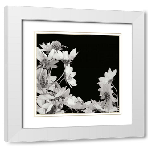 Flower Cluster 2 White Modern Wood Framed Art Print with Double Matting by Christensen, Jim