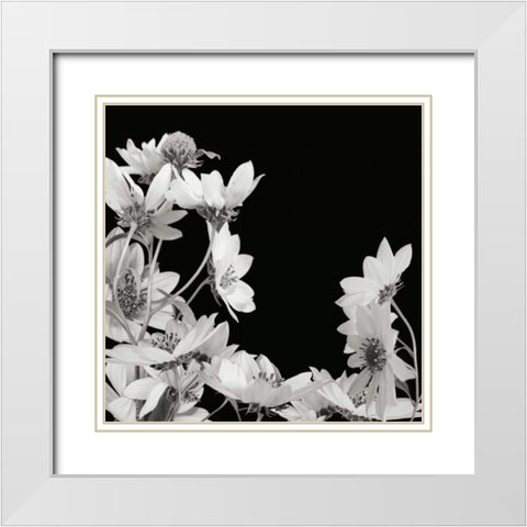 Flower Cluster 2 White Modern Wood Framed Art Print with Double Matting by Christensen, Jim