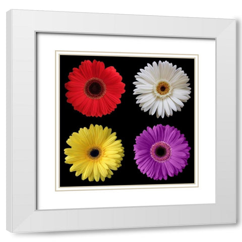 Gerber Group 2 White Modern Wood Framed Art Print with Double Matting by Christensen, Jim