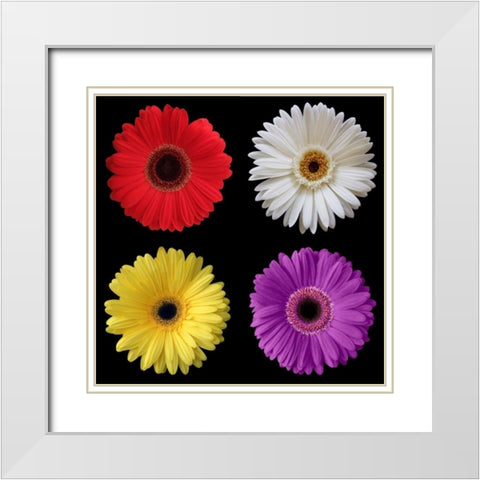 Gerber Group 2 White Modern Wood Framed Art Print with Double Matting by Christensen, Jim