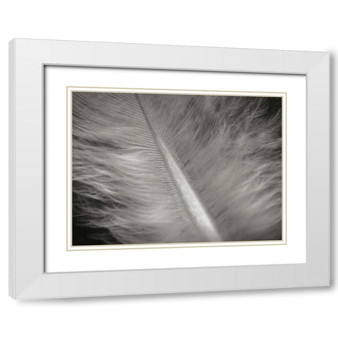 Feather II White Modern Wood Framed Art Print with Double Matting by Christensen, Jim