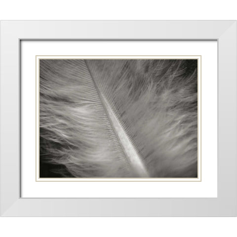 Feather II White Modern Wood Framed Art Print with Double Matting by Christensen, Jim