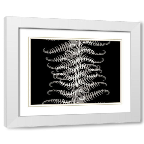 Ferns I White Modern Wood Framed Art Print with Double Matting by Christensen, Jim