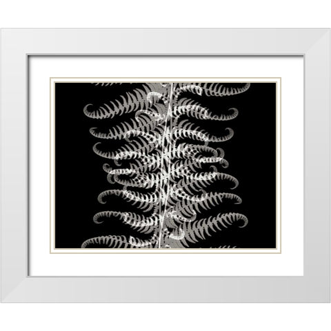Ferns I White Modern Wood Framed Art Print with Double Matting by Christensen, Jim