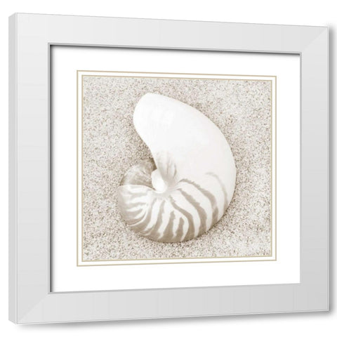 In the Sand VII White Modern Wood Framed Art Print with Double Matting by Christensen, Jim